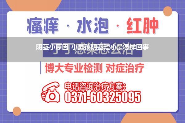 阴茎小原因_小男孩阴茎短小是怎样回事