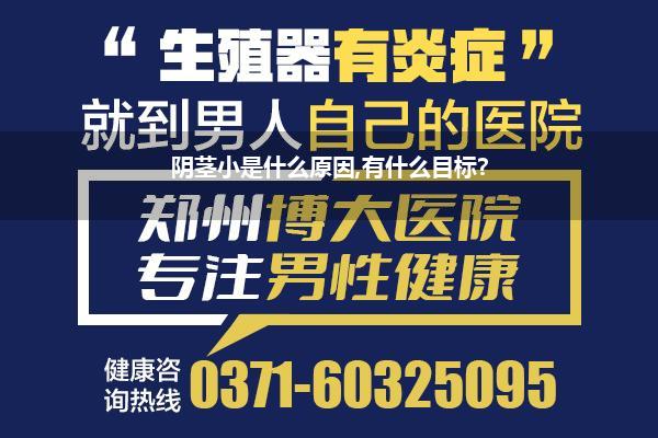 阴茎小是什么原因,有什么目标?