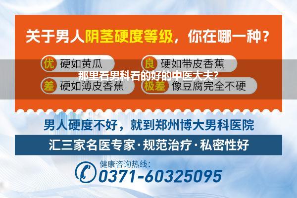 那里看男科看的好的中医大夫?