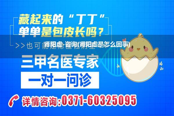 肾阳虚-咨询(肾阳虚是怎么回事)
